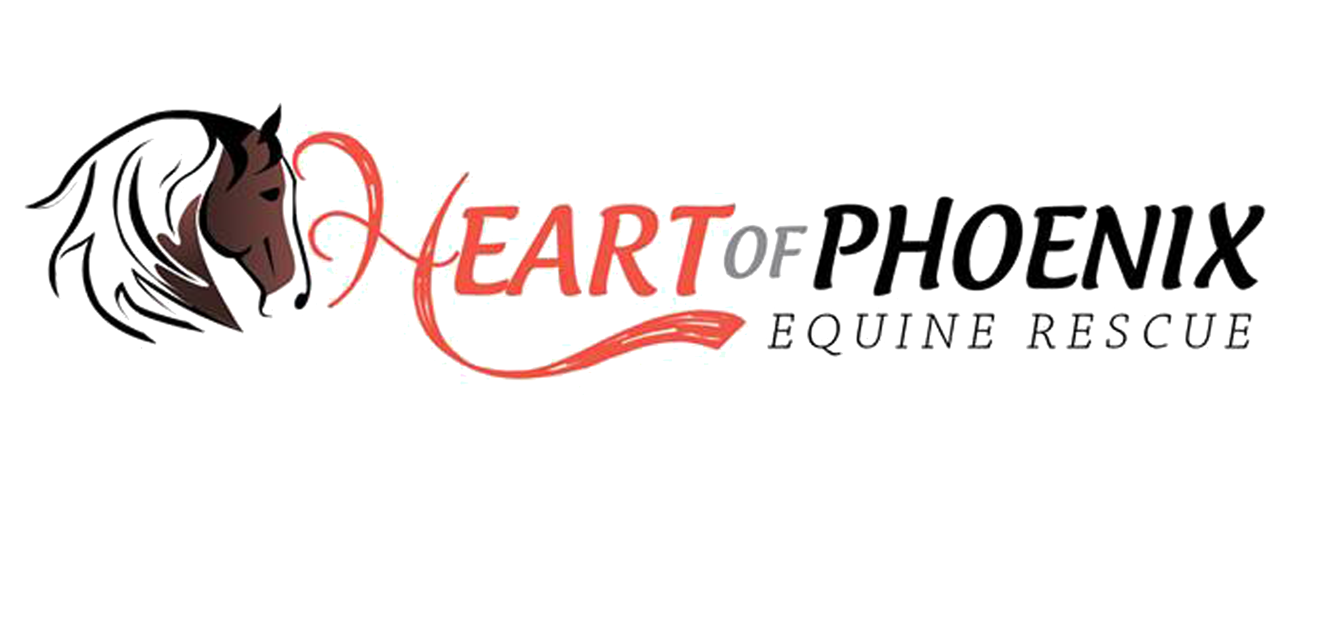 501(C)3 Final and Official More than a Rescue