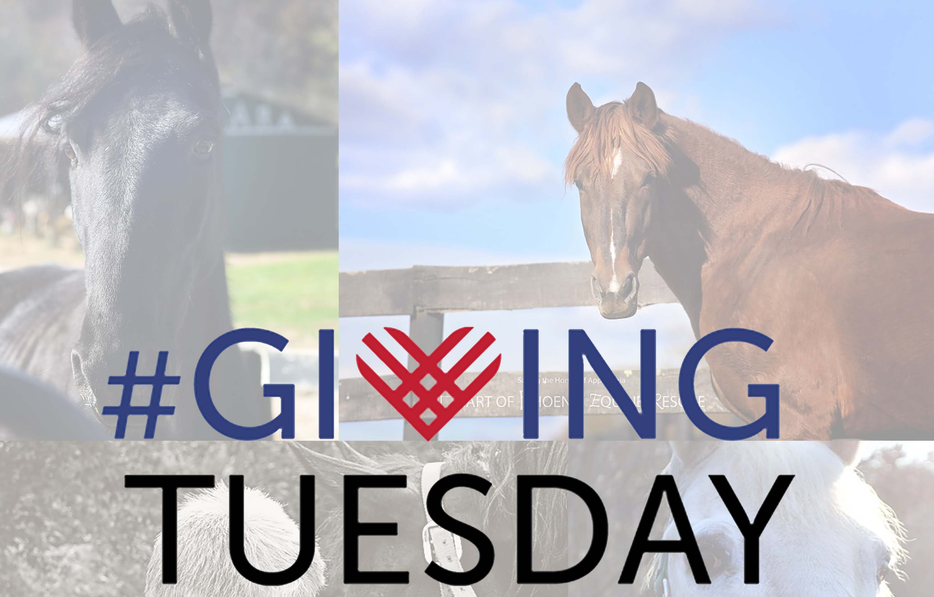Get a Gift when you give on #GivingTuesday and your gift will be matched!