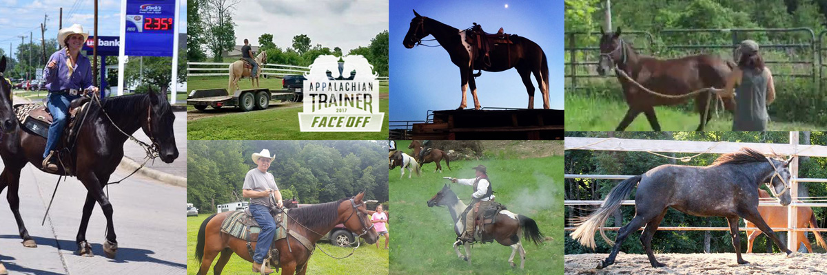 Some of the Best Horses in the Nation will be up for Adoption on August 26th starting at $500! Don’t Delay, Apply Today (Appalachian Trainer Face Off)