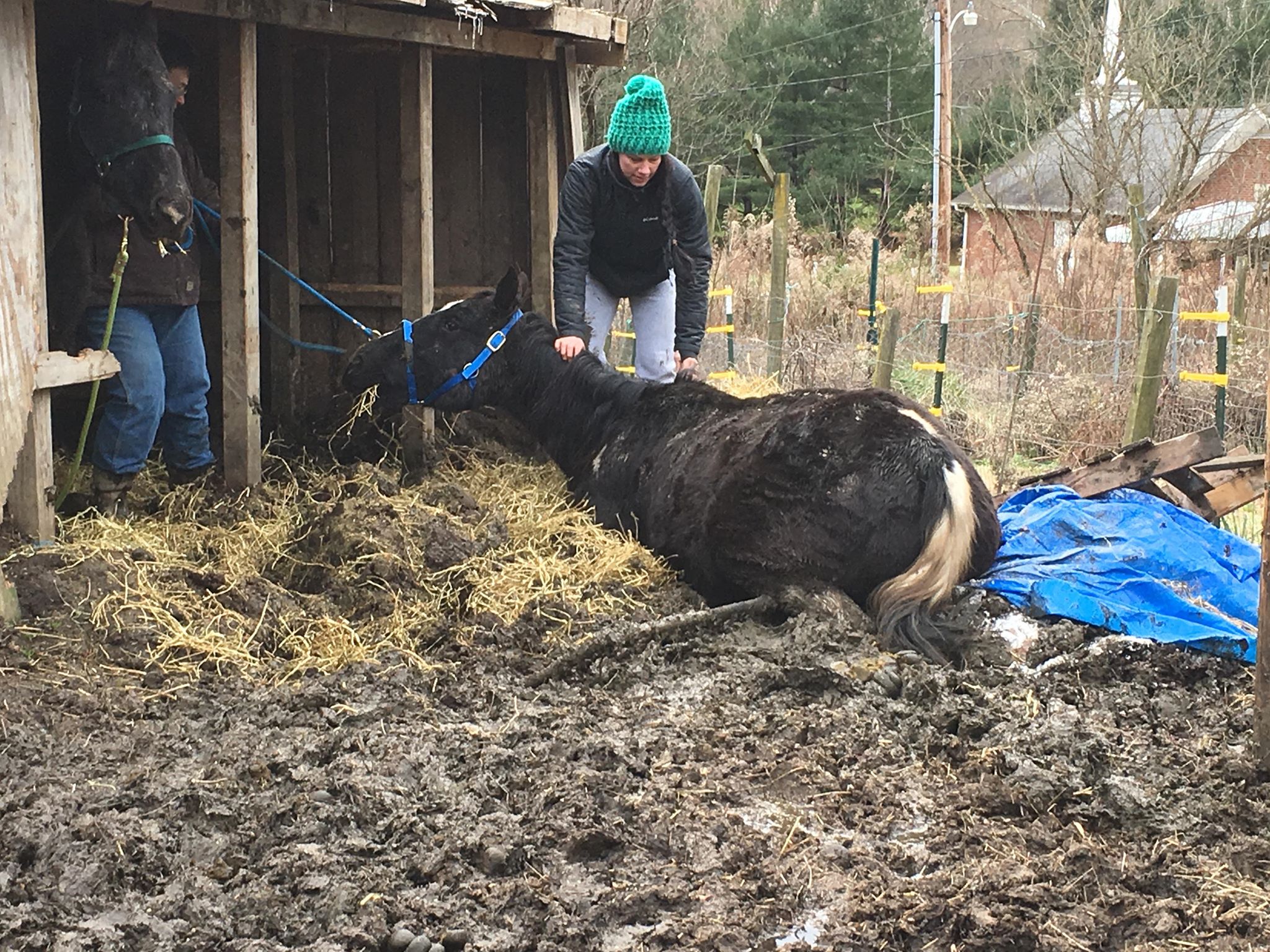 Appalachian Poverty and Good Intentions: The Mud Ponies