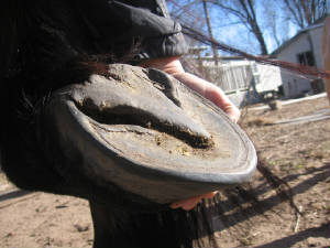 Pretty Feet and Ugly Feet and Somewhere In Between