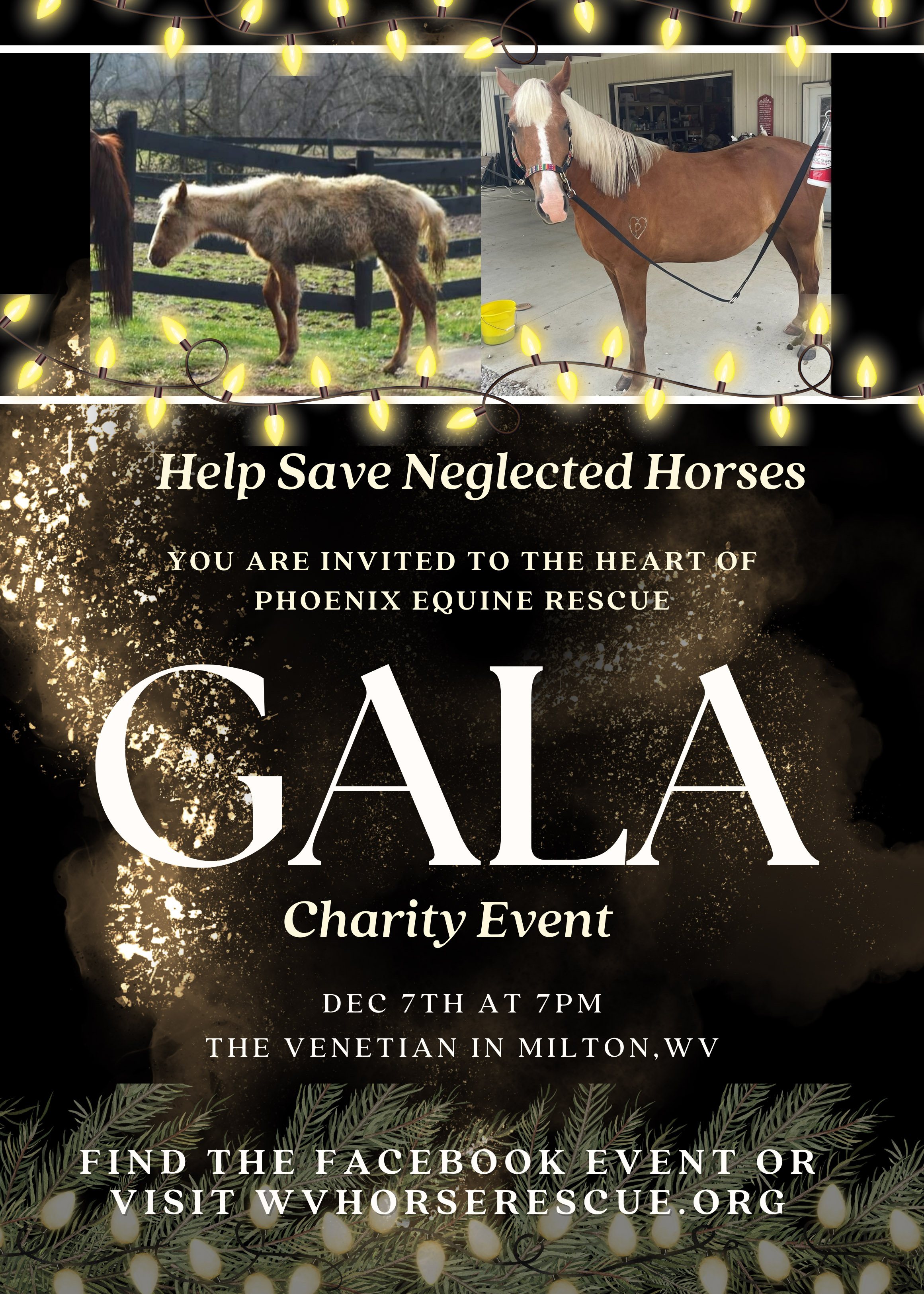 2024 Christmas Gala Fundraiser