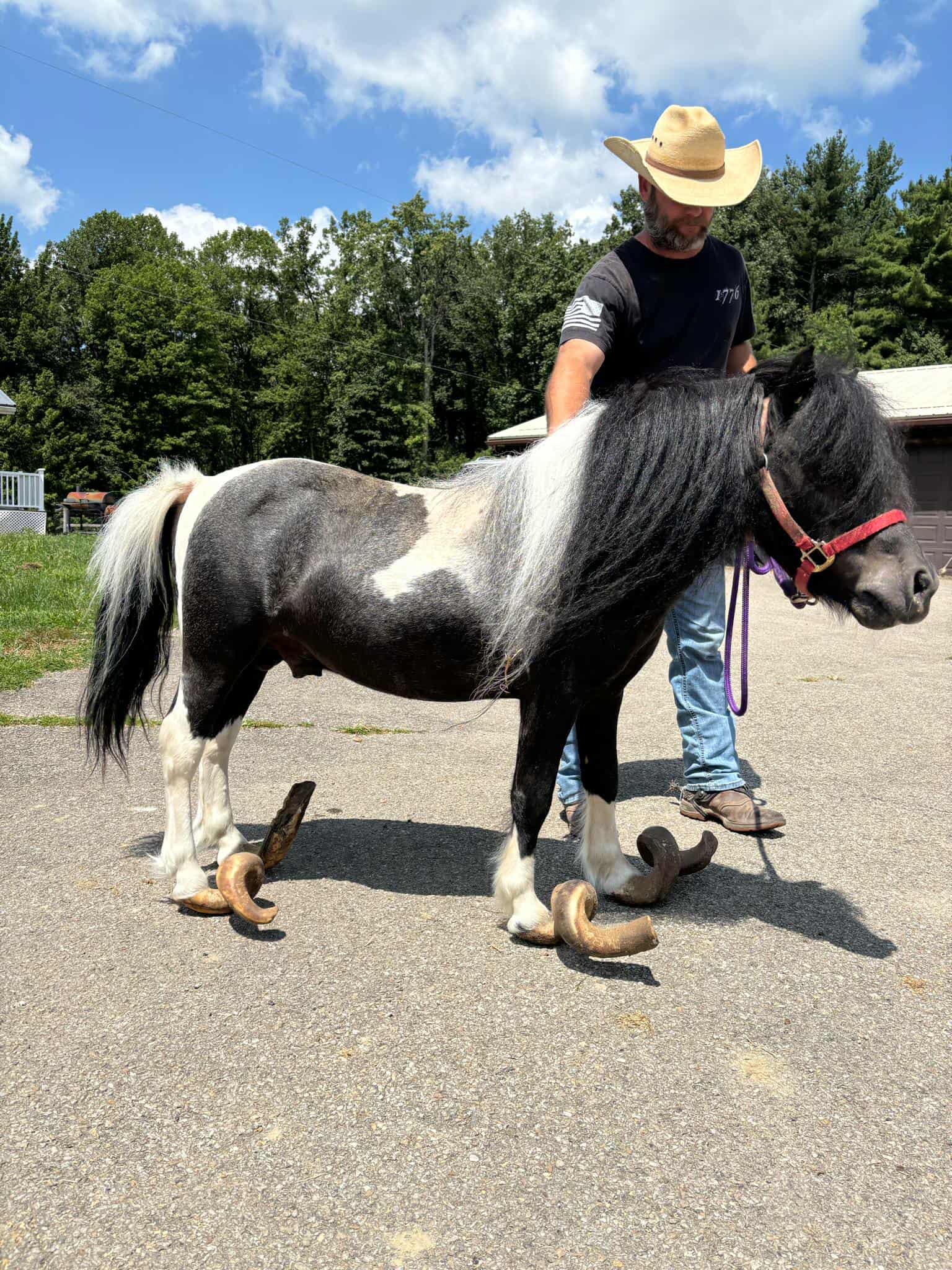 Through the years, we have seen nearly everything when it comes to neglect of horses, donkeys, mules and miniatures.