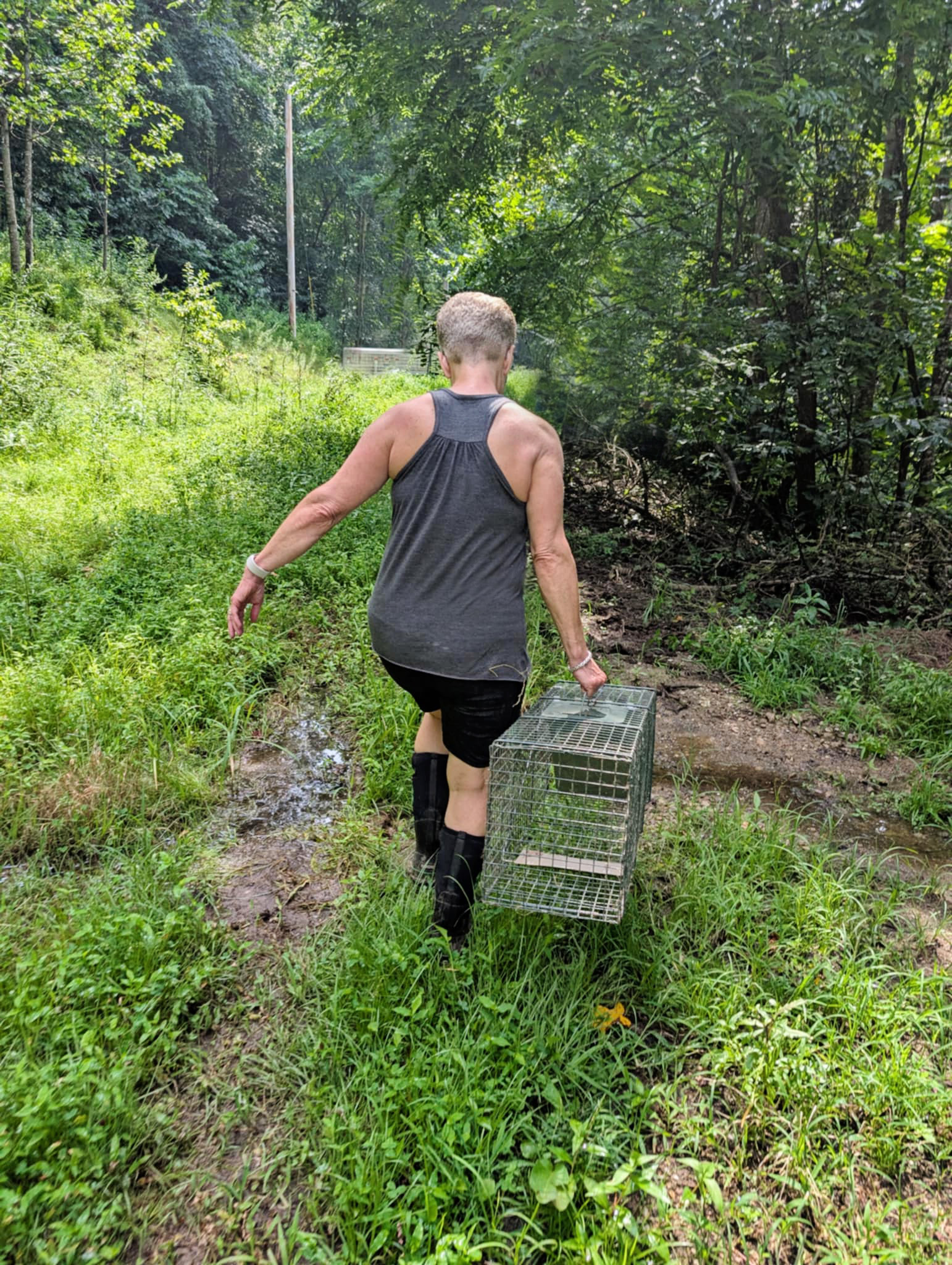 Saving Horses usually means helping People